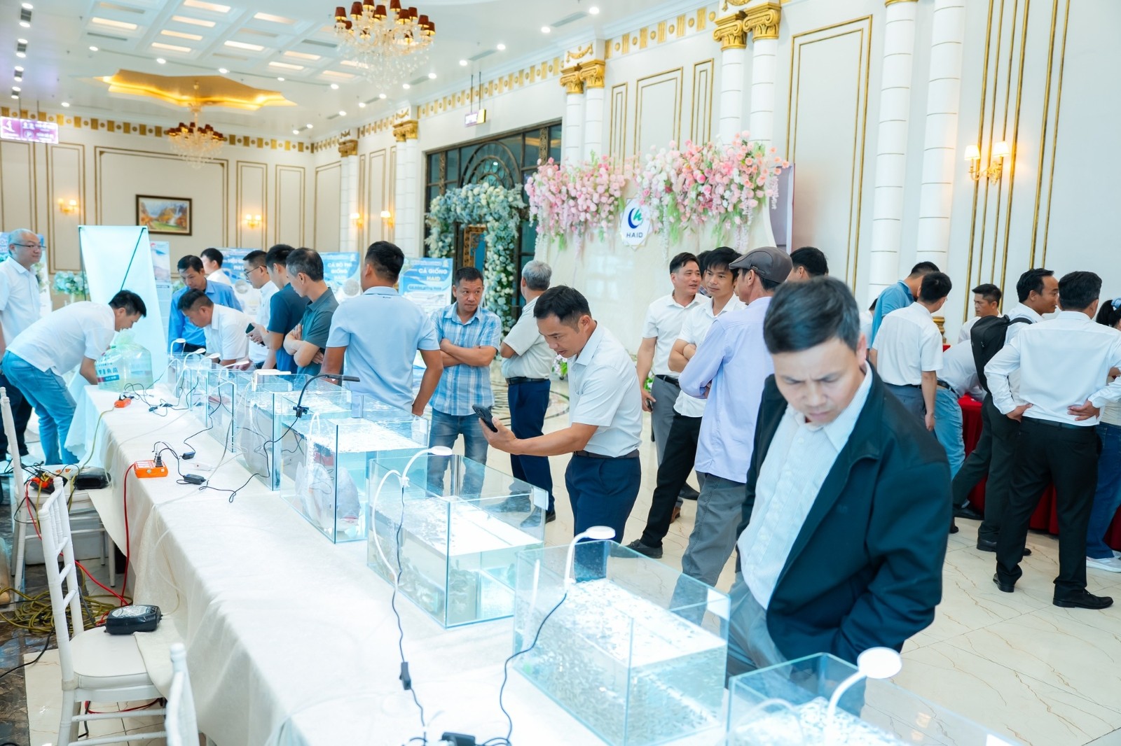 656933119 2479392615883591 5360332251489247897 n